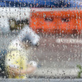 What is the average annual rainfall in Austin?