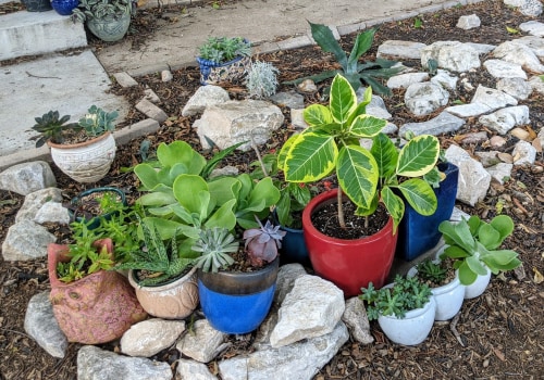 What are some advantages of gardening in the hill country of central Texas?