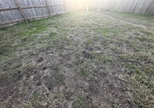 Is texas in zone 7?